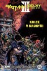 Batman / Želvy nindža III: Krize v krunýři (limitovaná edice)