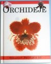 Orchideje