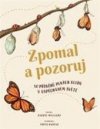 Zpomal a pozoruj