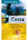 Cesta