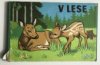 V lese
