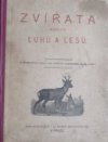 Zvířata našich luhů a lesů