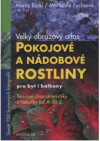 Pokojové a nádobové rostliny pro byt i balkony