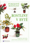 Rostliny v bytě