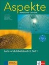Aspekte 3 C1