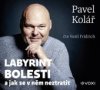 Labyrint bolesti
