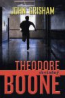 Theodore Boone - Obviněný