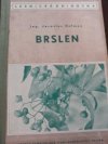 Brslen