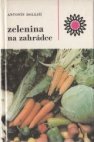 Zelenina na zahrádce