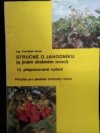 Stručně o jahodníku a jiném drobném ovoci