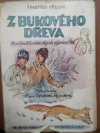 Z bukového dřeva