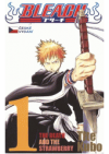 Bleach