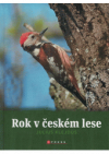 Rok v českém lese