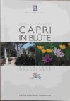 Capri in Blüte