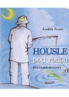 Housle pod vodou