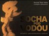 Socha pod vodou