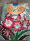 Pokojové rostliny
