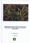 Metodika odchovu vironosné populace mšice střemchové (Rhopalosiphum padi L.) jako vektoru viru žluté zakrslosti ječmene (BYDV)
