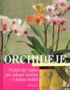 Orchideje