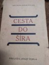 Cesta do šíra