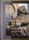 Hustopečské heraldické galerie