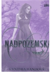 Nadpozemská