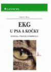 EKG u psa a kočky