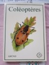 Coléoptéres