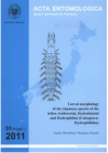 Larval morphology of the Japanese species of the tribes Acidocerini, Hydrobiusini and Hydrophilini (Coleoptera: Hydrophilidae)