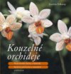 Kouzelné orchideje