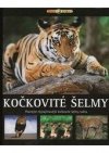 Kočkovité šelmy