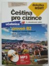 Čeština pro cizince