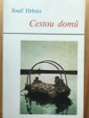 Cestou domů