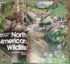 North American Wildlife