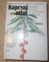 Kapesní atlas semen, plodů a klíčních rostlin