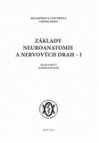 Základy neuroanatomie a nervových drah - I