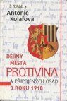 Dějiny města Protivína a připojených osad do roku 1918