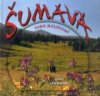 Šumava