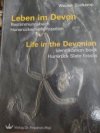 Leben im Devon  life in the devonian