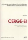 Sorting into secondary education and peer effects in youth smoking