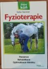 Fyzioterapie