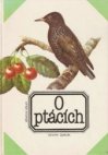 O ptácích