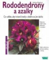 Rododendrony a azalky