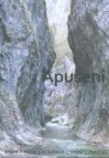 Apuseni