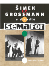 Šimek & Grossmann v divadle Semafor 