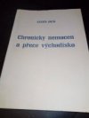 Chronicky nemocen a přece východisko