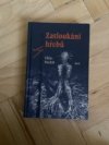 Zatloukání hřebů