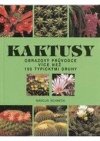 Kaktusy