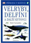 Velryby, delfíni a další kytovci