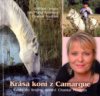 Krása koní z Camargue